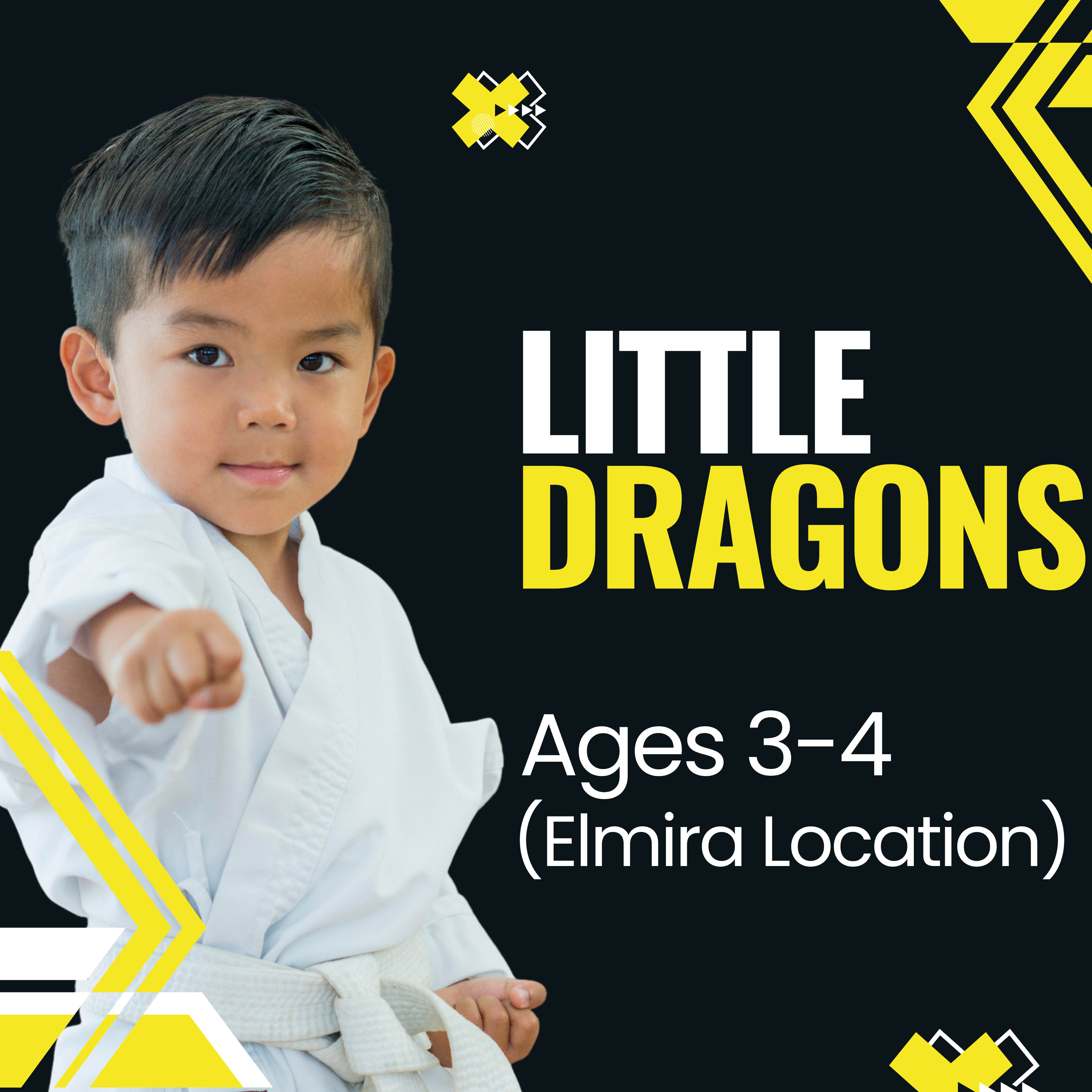 Little Dragons Program Button